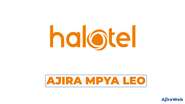 Finance Officer at Halotel Tanzania