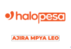 HaloPesa Vacancies 2026