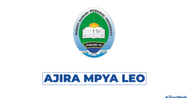 Internal Auditor at Kairuki University 2026