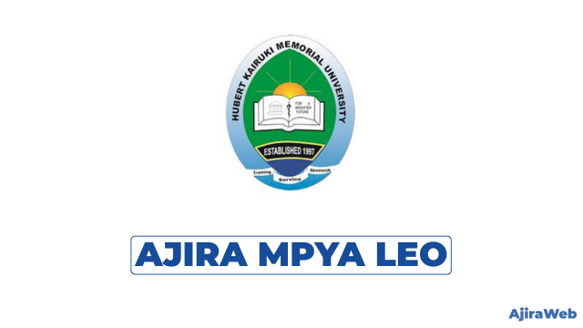 Internal Auditor at Kairuki University 2026