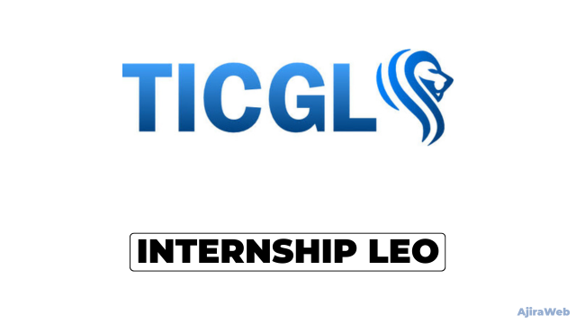 Internship Programme at Tanzania Investment and Consultant Group Ltd (TICGL)