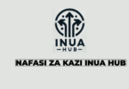 Inua Hub Tanzania Vacancies 2026