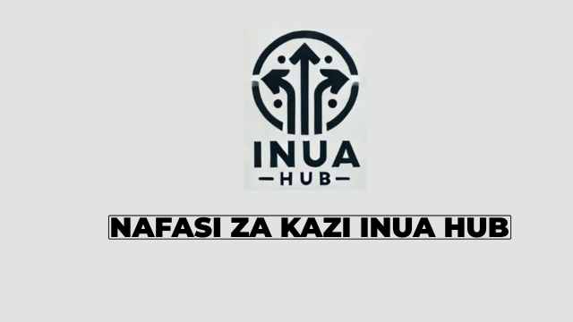 Inua Hub Tanzania Vacancies 2026