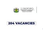 Limpopo Provincial Government Traffic Learner (TCS) Vacancies 2026 – 204 Posts