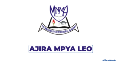 MNMA Vacancies 2026 – Mwalimu Nyerere Memorial Academy (MNMA)