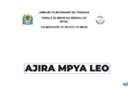 Mafia District Council Vacancies 2026