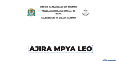 Mafia District Council Vacancies 2026