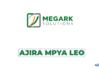 Megark Solutions Vacancies 2026