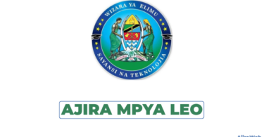 Ministry of Education, Science and Technology Tanzania Vacancies 2026