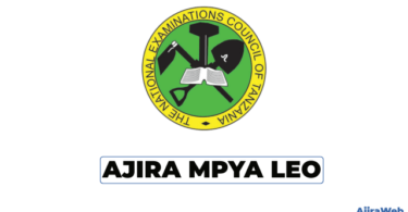 NECTA Vacancies 2026 – National Examinations Council of Tanzania (NECTA)