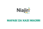 Niajiri Platform Ltd Vacancies 2026 | Latest Job Opportunities