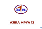 Northern Engineering Works Ltd Vacancies 2026 – Field Engineer (Spark Project) | 12 Positions