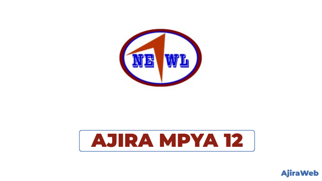 Northern Engineering Works Ltd Vacancies 2026 – Field Engineer (Spark Project) | 12 Positions