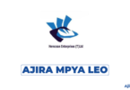 Sales Executive at Herocean Baizhou Technology Tanzania Limited 2026