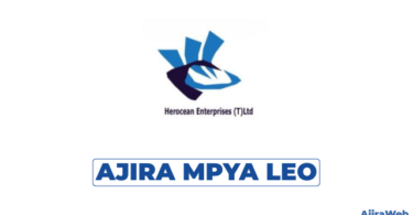 Sales Executive at Herocean Baizhou Technology Tanzania Limited 2026