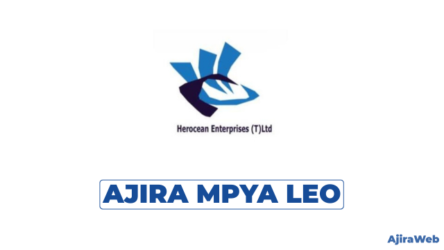 Sales Executive at Herocean Baizhou Technology Tanzania Limited 2026