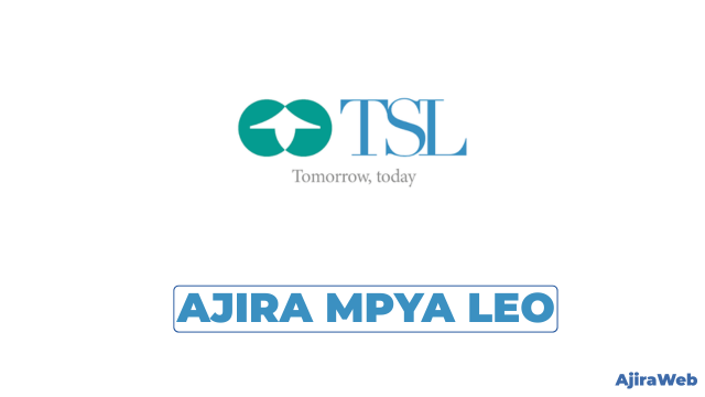 Tanzania Securities Limited (TSL) Graduate Trainee Program 2026 – Advisory, Research & Marketing