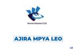 Tax Assistant at Herocean Baizhou Technology Tanzania Limited