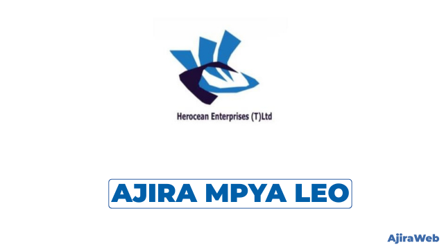 Tax Assistant at Herocean Baizhou Technology Tanzania Limited