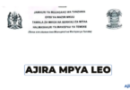 Temeke Municipal Council Vacancies 2026