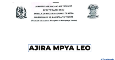 Temeke Municipal Council Vacancies 2026