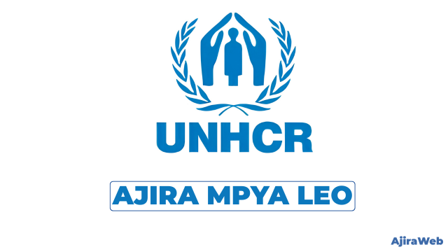 UNHCR Tanzania Vacancies 2026