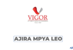 VIGOR Group of Companies Vacancies 2026