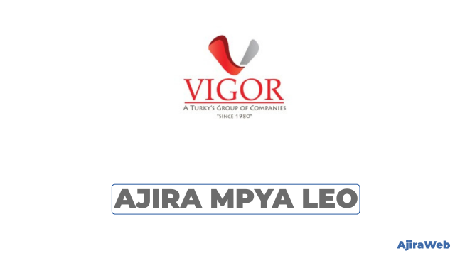 VIGOR Group of Companies Vacancies 2026
