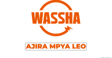 WASSHA Tanzania Vacancies 2026 – Assistant Operations Manager