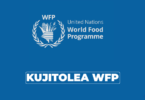 WFP Tanzania Youth Volunteer (Innovation Unit) 2026