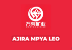 Wanyou Mining Tanzania Vacancies 2026