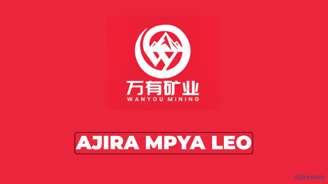 Wanyou Mining Tanzania Vacancies 2026
