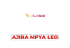 flySunBird Vacancies 2026 – Digital Marketing Specialist