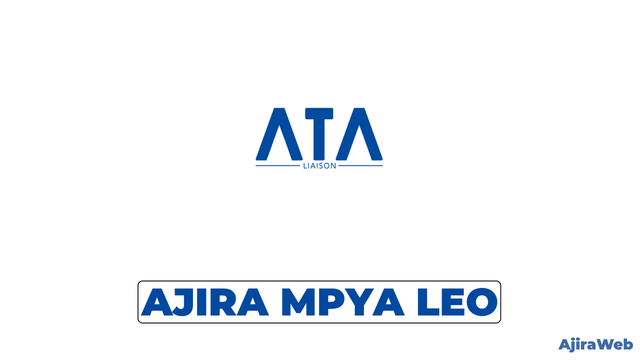 ATA Liaison Limited Human Resource Manager Vacancy 2026