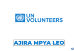 Associate Officer – Blue Economy & Climate Financing at UNV – August 2026