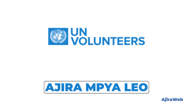 Associate Officer – Blue Economy & Climate Financing at UNV – August 2026