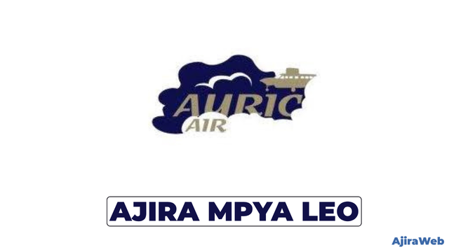 Auric Air Safety Officer Vacancy 2026