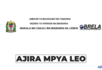 BRELA WIPO Vacancy 2026