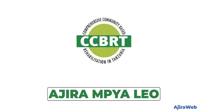 CCBRT Vacancy 2026: Program Accountant and Administrative Assistant