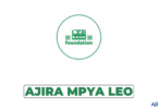 CRDB Bank Foundation Independent Non-Executive Director Vacancy 2026