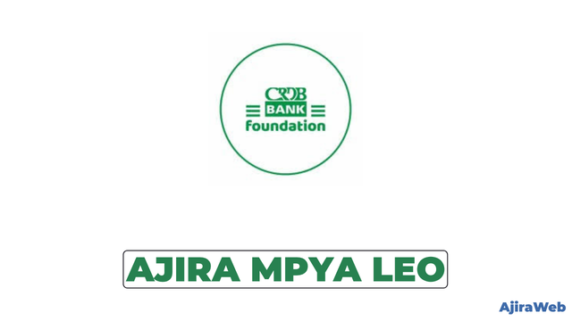 CRDB Bank Foundation Independent Non-Executive Director Vacancy 2026