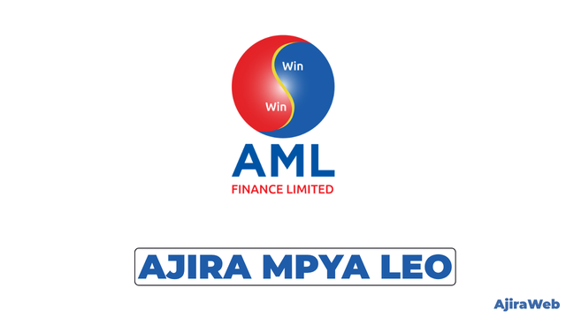Chief Executive Officer at AML Finance Limited, August 2026