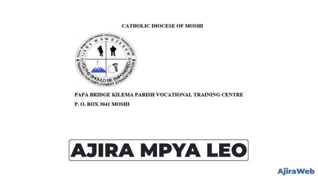 College Principal Job Vacancy at Papa Bridge Kilema VTC, Moshi