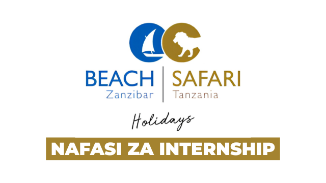 Content Creation Internship Tanzania Beach & Safari Holidays