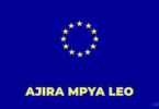 Delegation of the European Union to Tanzania Vacancies 2026