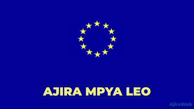 Delegation of the European Union to Tanzania Vacancies 2026