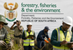 Department of Forestry, Fisheries and the Environment Vacancies 2026 (x8 Posts)