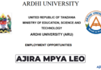 Deputy Vice Chancellor – Planning, Finance and Administration Job at Ardhi University