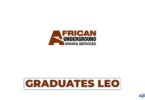 Graduate Mining Engineer Job Vacancy at AUMS Geofields Tanzania Limited (AUMSGT)