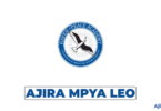 Haven of Peace Academy Vacancies 2026